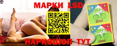 ПСИЛОЦИБИНОВЫЕ ГРИБЫ Тверь