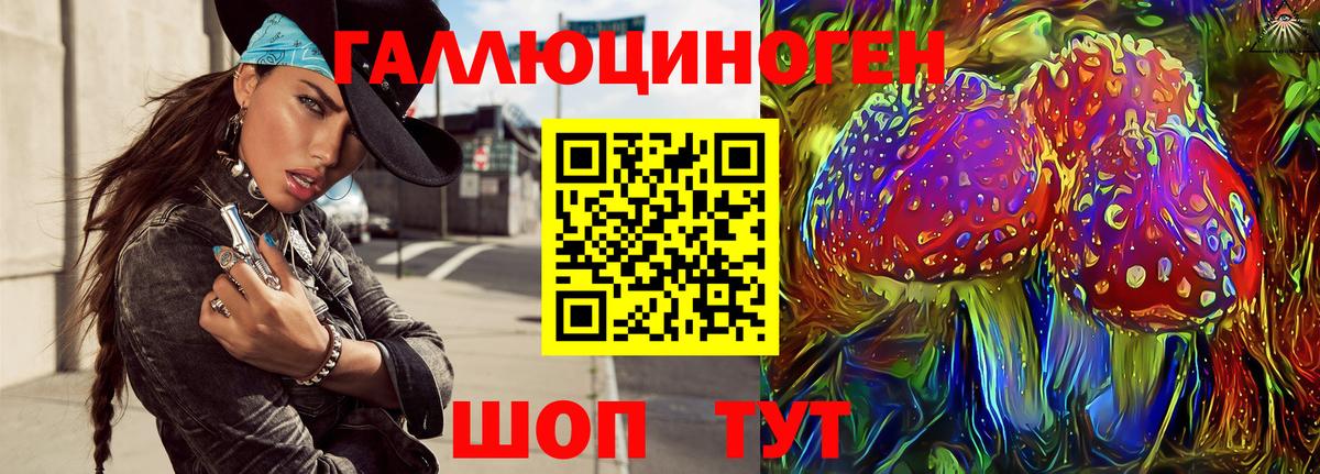 Галлюциногенные грибы Psilocybe Сургут